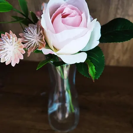 アパート White Rose Studio Basement ブダペスト