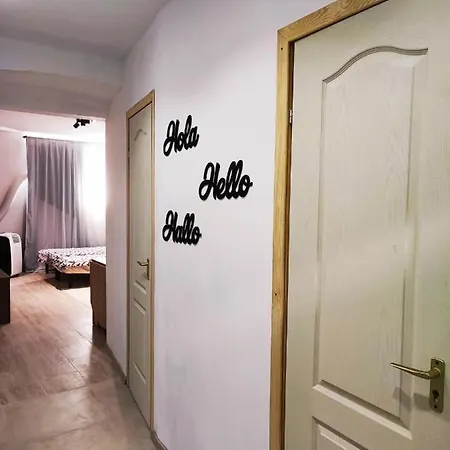White Rose Studio Basement Apartament